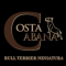 Costa blanca - Bull Terrier miniatura